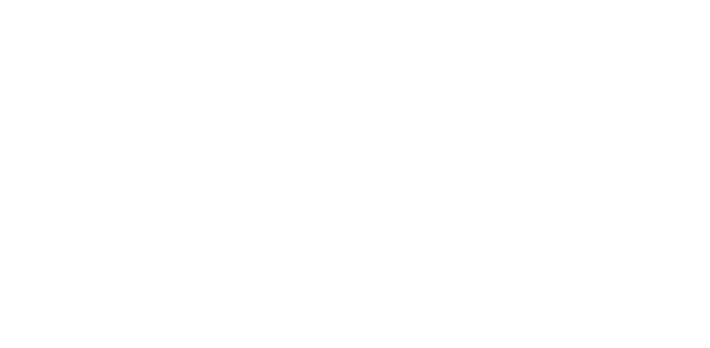 TURPIKE AUTO DETAILING Logo